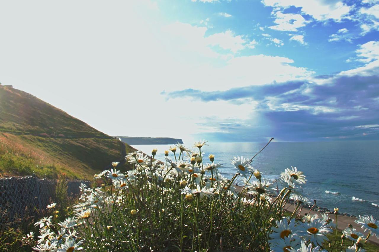 Haven Crest Hotel Whitby Buitenkant foto